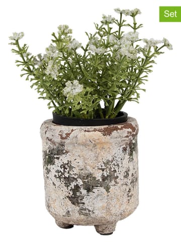 Clayre & Eef 2er-Set: Blumentöpfe in Beige - (H)10 x Ø 9 cm