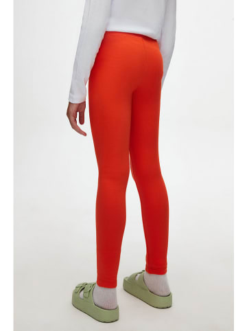lovetti Legging rood