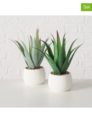 Boltze 2-delige set: planten in pot "Manacor" wit/groen - (H)29 x Ø 11,5 cm