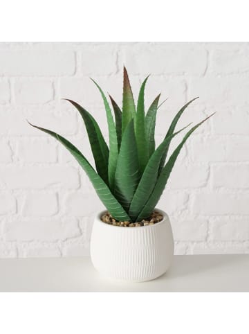 Boltze 2-delige set: planten in pot "Manacor" wit/groen - (H)29 x Ø 11,5 cm