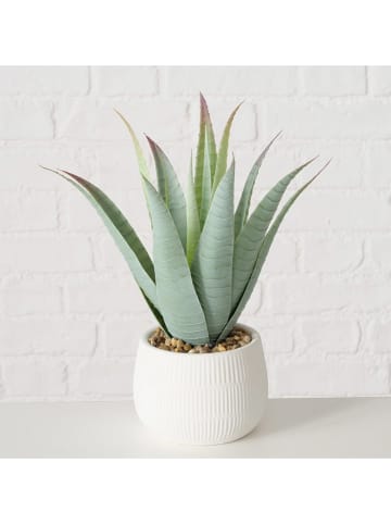Boltze 2-delige set: planten in pot "Manacor" wit/groen - (H)29 x Ø 11,5 cm