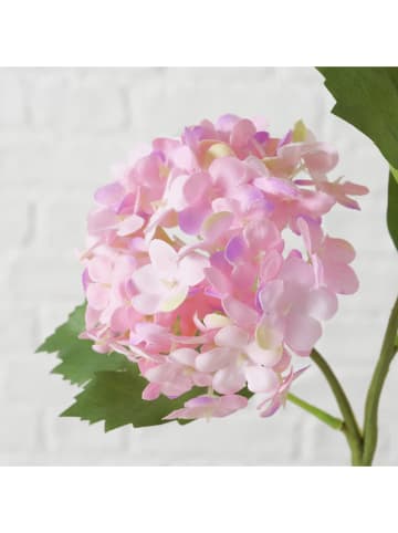 Boltze Kunstbloem "Hortensie" groen/lichtroze - (H)35 cm