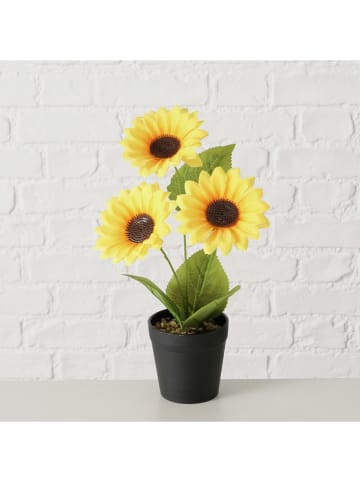 Boltze Plant in pot "Zonnebloemen" groen/geel - (H)33 x Ø 25 cm