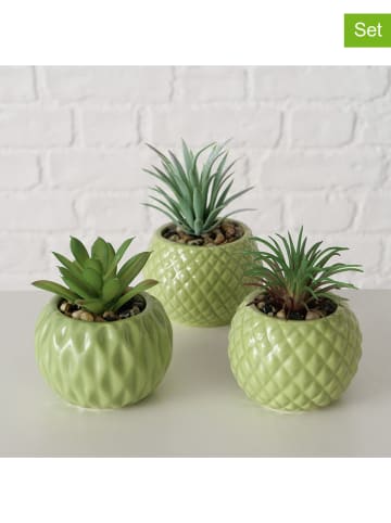 Boltze 3-delige set: planten in pot "Maluha" groen - (H)10,5 x Ø 7,5 cm