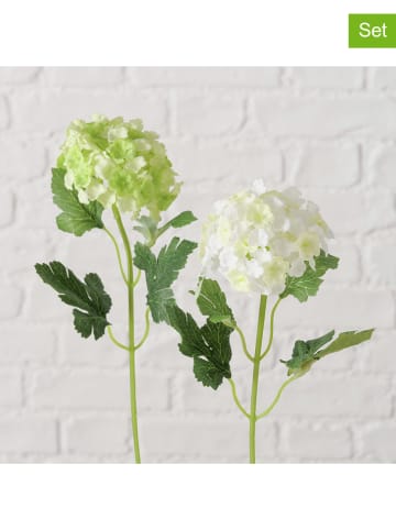 Boltze 2er-Set: Kunstblumen "Hortensie" in Grün/ Weiß - (H)30 cm