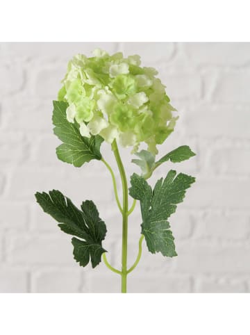 Boltze 2er-Set: Kunstblumen "Hortensie" in Grün/ Weiß - (H)30 cm