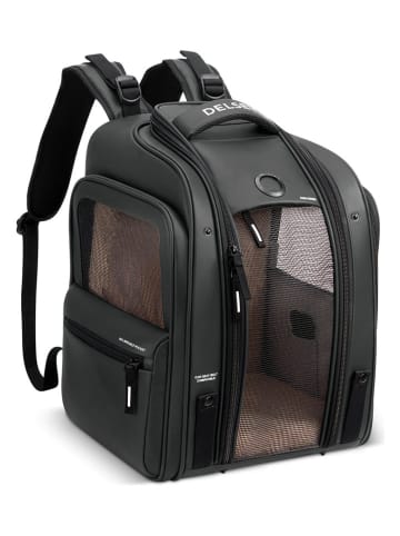 Delsey Tierrucksack "Raspail" in Schwarz - (B)31 x (H)43 x (T)29 cm