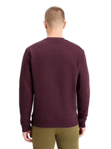 Scotch & Soda Sweatshirt in Pflaume