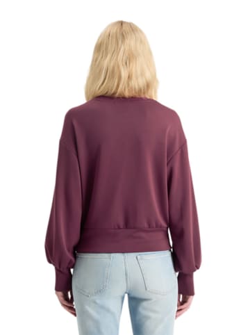 Scotch & Soda Sweatshirt in Pflaume