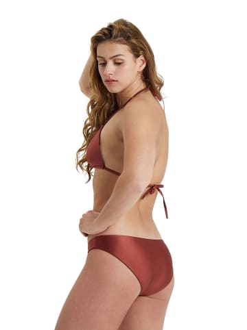 Arena Bikini in Braun