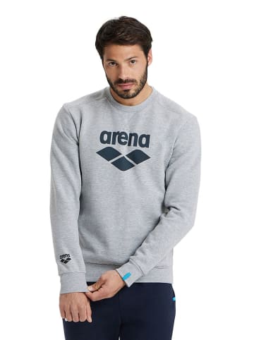 Arena Sweatshirt grijs
