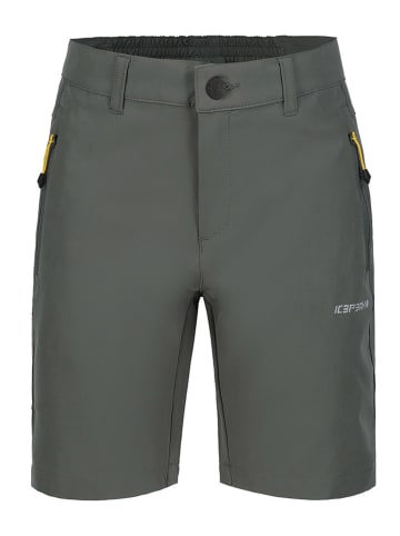 Icepeak Funktionsshorts "Konz" in Khaki