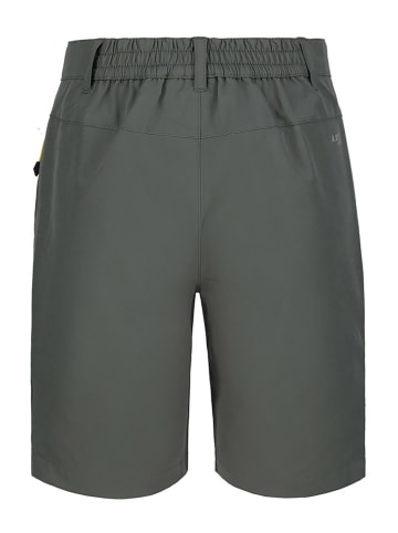 Icepeak Funktionsshorts "Konz" in Khaki