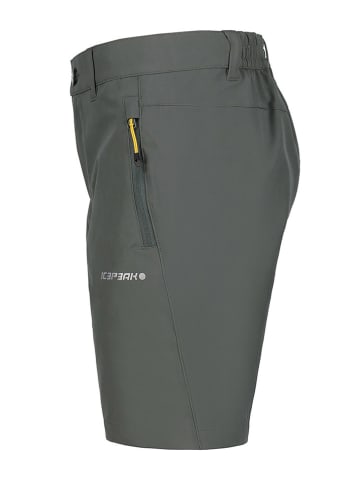 Icepeak Szorty funkcyjne "Konz" w kolorze khaki