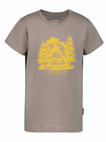 Icepeak Koszulka "Leadville" w kolorze beżowo-żółtym