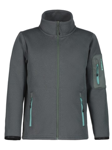 Icepeak Funktionsjacke "Kevelaer" in Dunkelgrün