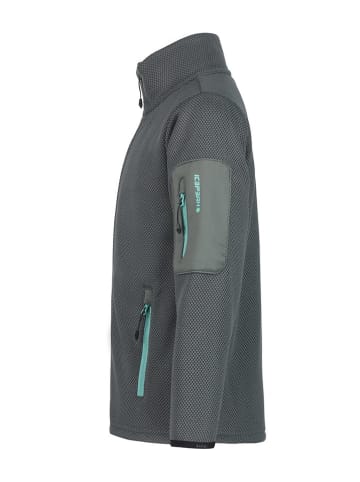 Icepeak Funktionsjacke "Kevelaer" in Dunkelgrün