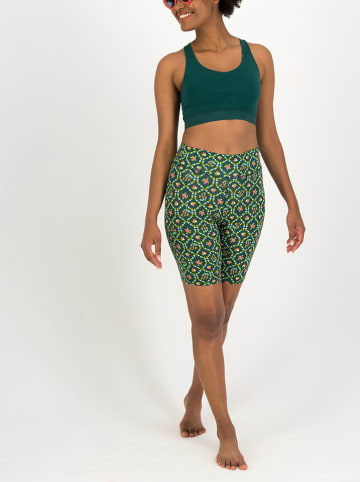 Blutsgeschwister Trainingsshorts "Yogi" in Grün