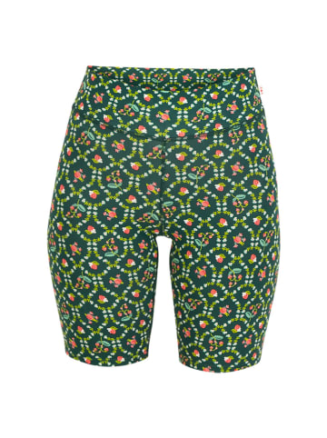 Blutsgeschwister Trainingsshorts "Yogi" in Grün