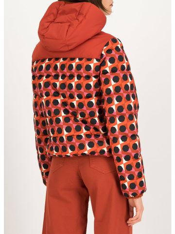 Blutsgeschwister Steppjacke "Cloud Stepperlittle" in Rot/ Schwarz