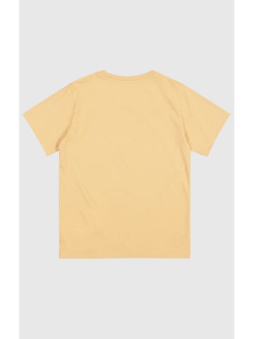 Champion Shirt in Orange