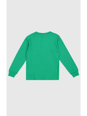 Champion Sweatshirt in Grün