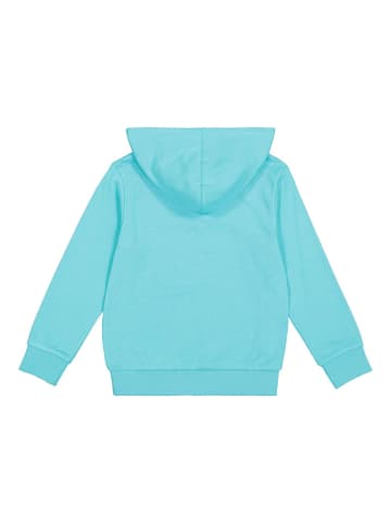 Champion Hoodie in Türkis