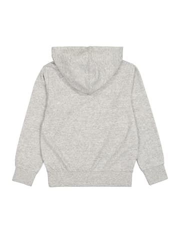 Champion Hoodie in Grau