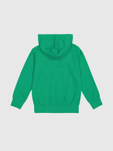 Champion Hoodie in Grün
