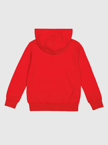 Champion Hoodie in Rot