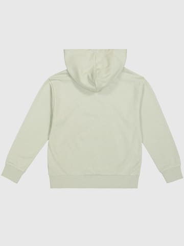 Champion Hoodie in Hellgrün