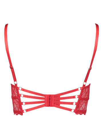 LASCANA Push-up beha rood