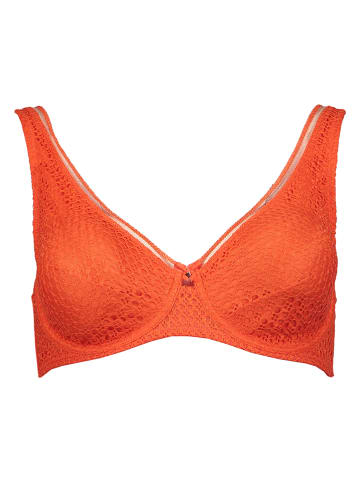 nuance Minimizer-BH in Orange