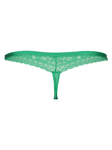 Vivance String "Viola" groen