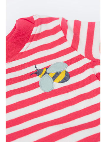 Frugi 2-delige outfit "Easy On" turquoise/rood