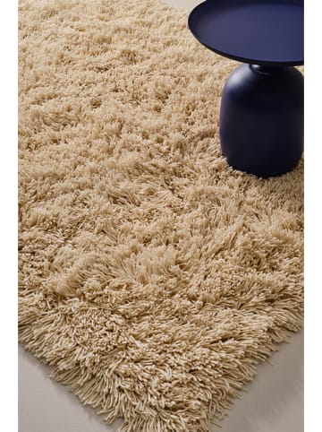 Jotex Wollteppich "Mira" in Creme