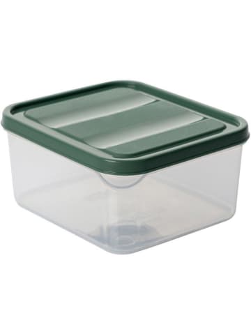 Violeta Home 12er-Set: Frischhaltedosen in Grün - 350 ml