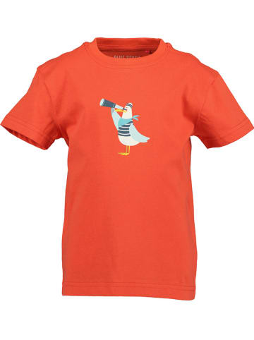 Blue Seven Shirt in Orange