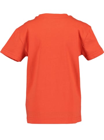 Blue Seven Shirt in Orange