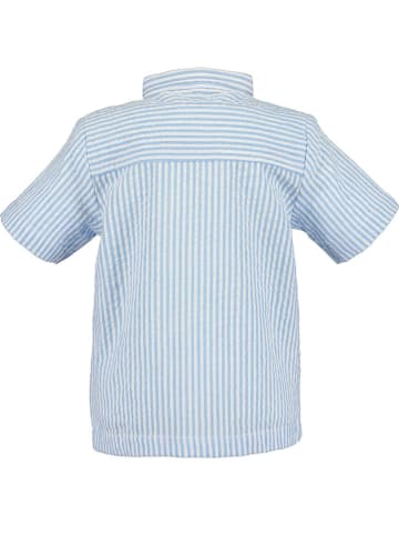 Blue Seven Hemd in Hellblau