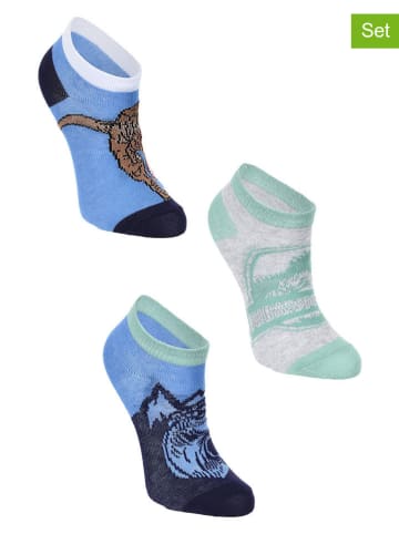 Jurassic World 3er-Set: Socken "Jurassic World" in Bunt