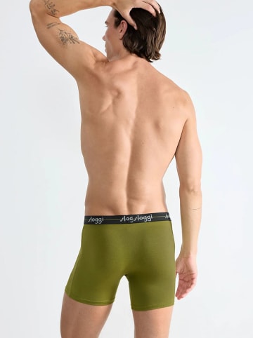 Sloggi 2er-Set: Boxershorts "Start" in Khaki/ Grau