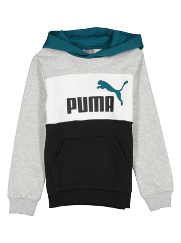 Puma Hoodie "ESS" grijs/zwart/wit