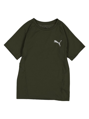 Puma Koszulka "Evostripe" w kolorze khaki