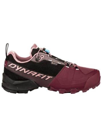 DYNAFIT Laufschuhe "TRANSALPER GTX" in Lila