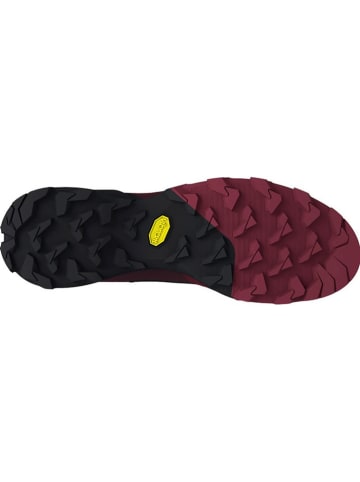 DYNAFIT Laufschuhe "TRANSALPER GTX" in Lila
