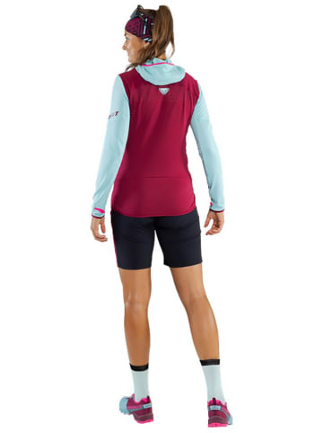 DYNAFIT Functionele short "TRAVERSE DST" paars