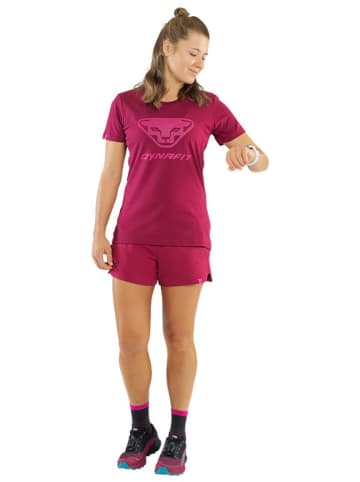 DYNAFIT Functionele short "TRACK" pruimkleurig