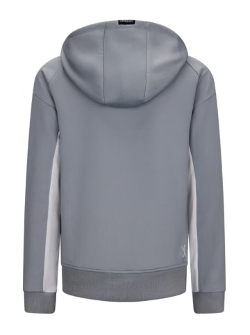 Retour Hoodie "Club" in Grau