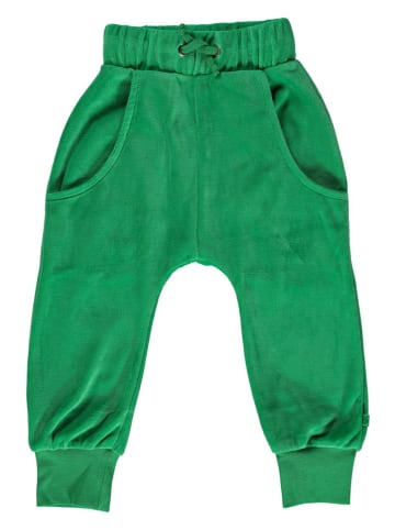 Småfolk Samthose in Grün